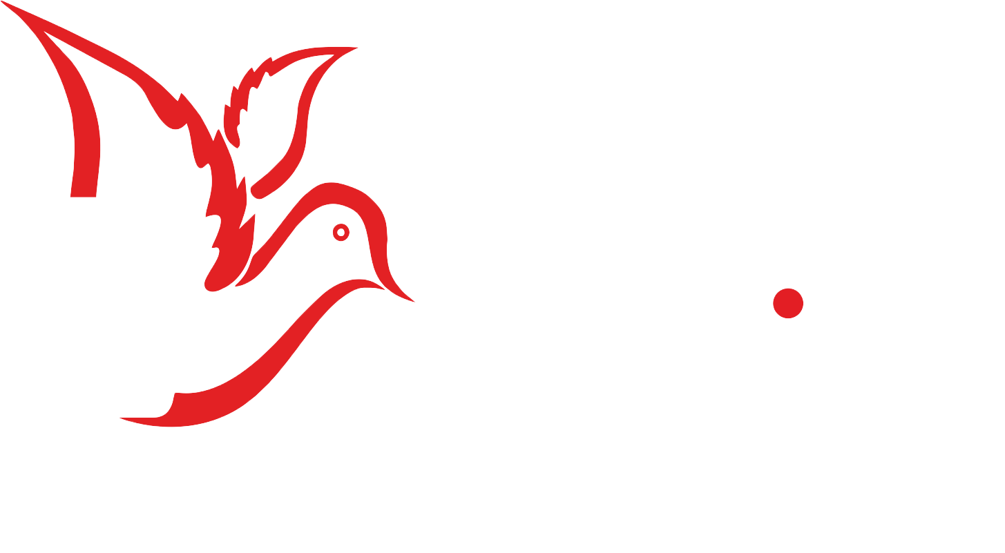 Flybird Canada Bathroom Accessory Sets Luxury Handles FlybirdCanada Flybird canada bathroom accessory sets luxury handles flybirdcanada